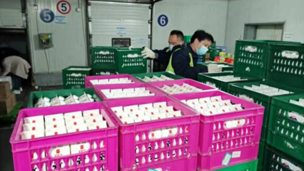 冷鏈物流 守護上海保供一線的“最美逆行”